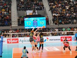 Tumbangkan Gresik Petrokimia 3-0, Jakarta Electric PLN Segel Tiket Final Four Proliga 2024