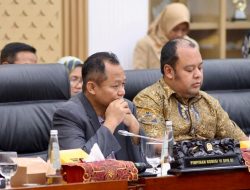 Untuk Bangun Kelistrikan Daerah Terpencil PLN Ajukan PMN 2025 Sebesar Tiga Triliun