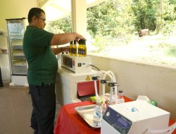 Kembangkan Eduwisata Lebah di Garut, PLN Haleyora Power Salurkan Bantuan Alat Pengolahan Madu