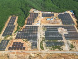 Optimalisasi Pembangkit Sepanjang 2023, Bikin Kinerja PLN Nusantara Power Melejit