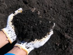 Sepanjang Semester I 2024, PLN Sukses Manfaatkan Hampir 1,5 Juta Ton FABA PLTU