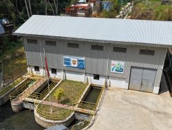 Pimpin Transformasi Berkelanjutan, Dirut PLN Raih Penghargaan The Prominent CEO of The Year