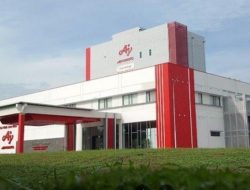 Upaya Kurangi Emisi Karbon, Pabrik Ajinomoto Gunakan Listrik Bersih PLN dengan 219 Ribu Unit REC Per Tahun