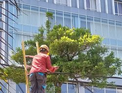 PLN Icon Lakukan Perapihan dan Pendataan kabel ilegal di Tiang PLN Kota Surabaya, Demi Estetika dan Jaga Keandalan Jaringan