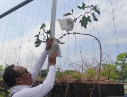 PLN UIP JBTB Jelang Nataru Dukung KPS Tukad Mati Lestari, Bali Dalam Kepedulian Lingkungan Sungai