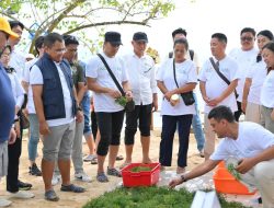 Hari Lingkungan Hidup, Dari Pesisir Nusa Lembongan, PLN Bangun Kemandirian Ekonomi Melalui Rumput Laut