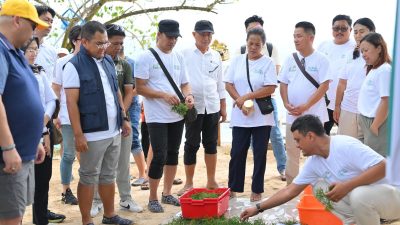 Hari Lingkungan Hidup, Dari Pesisir Nusa Lembongan, PLN Bangun Kemandirian Ekonomi Melalui Rumput Laut