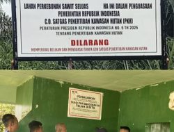 KJP Nilai Putusan Pengadilan Tidak Tepat, Soroti Fakta Lapangan dan Surat Pernyataan Dirut PT SMJL