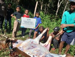 Rayakan Iduladha 1446H, PLN Salurkan Daging Kurban di Berbagai Daerah