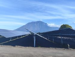 Semarak Hari Lahir Pancasila, EVP MKJ PT PLN (Persero) dan GM PT PLN (Persero) UIP JBTB Tinjau Pembangunan PLTS Bali Timur