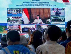 Presiden Prabowo Resmikan 55 Proyek Pembangkit EBT, Termasuk Program Lisdes PLN di Berbagai Wilayah Indonesia bukti PLN untuk rakyat