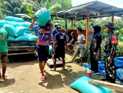Pastikan Terserap Maksimal, Babinsa Koramil Ngrambe Dampingi Sergap, Bantu Panen Padi di Desa Setono