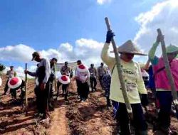 Dukung Asta Cita Presiden Prabowo, Polresta Banyuwangi Tanam Jagung Serentak Kuartal III di Lahan PTPN