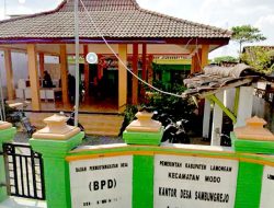 Bantuan Sapi Mangkrak di Sambungrejo: Transparansi Dana Desa Dipertanyakan, Program Ketahanan Pangan di Sambungrejo Belum Terealisasi