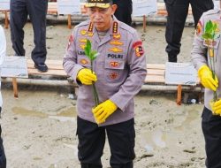 Tanam Mangrove di Kalbar, Kapolri: Jaga Lingkungan untuk Masa Depan Anak-Cucu