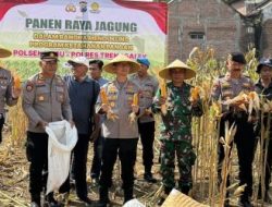 Menuju Swasembada Pangan, Kapolres Trenggalek Bersama Warga Panen Raya Jagung