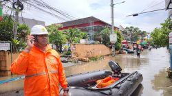 Momen Hari Pelanggan Nasional, PLN Pulihkan Listrik Pascabencana, Warga Bali Kembali Beraktivitas