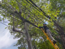 Terus Berkomitmen Wujudkan Layanan Andal, PLN Icon Plus Bersama Pemkot Surabaya Tata Ulang Infrastruktur Digital Kota