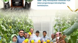 Wujudkan Inovasi Hijau Berkelanjutan, PLN UIP JBTB Sabet Penghargaan Platinum di Indonesia Green Awards 2026