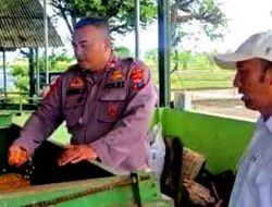 Rabu Berguru, Sat Binmas Polres Ngawi Belajar Langsung Pengolahan Jagung di Desa Guyung
