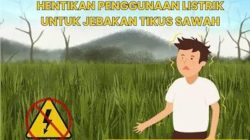 Makan Korban Lagi, Jebakan Tikus Beraliran Listrik Tewaskan Petani di Kalitengah