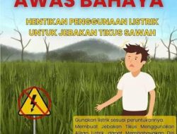 Makan Korban Lagi, Jebakan Tikus Beraliran Listrik Tewaskan Petani di Kalitengah