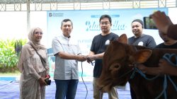 Semangat Berbagi Iduladha 1447 H, PLN UIP JBTB Salurkan Belasan Hewan Kurban untuk Masyarakat