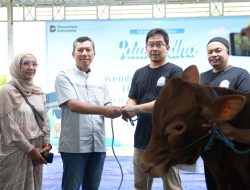 Semangat Berbagi Iduladha 1447 H, PLN UIP JBTB Salurkan Belasan Hewan Kurban untuk Masyarakat