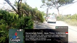Cegah Kemacetan dan Kecelakaan, Polsek Deket Evakuasi Pohon Tumbang dalam Waktu Singkat