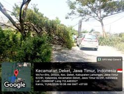 Cegah Kemacetan dan Kecelakaan, Polsek Deket Evakuasi Pohon Tumbang dalam Waktu Singkat