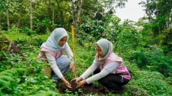 Srikandi PLN Icon Plus Jatim Peduli Lingkungan, Tanam 200 Bibit Pohon di Kaki Gunung Arjuno-Welirang