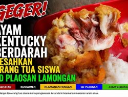 Ayam Kentucky Berdarah Resahkan Orang Tua Siswa SD Plaosan Lamongan