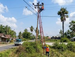 Dirut PLN Kawal Langsung Kelistrikan Nasional Jelang HUT ke-81 Kemerdekaan RI dari Posko NTT