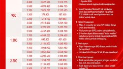 Sambut Hari Pelanggan Nasional, Rayakan HUT ke-81 RI, PLN Beri Diskon Tambah Daya 50% bagi Pelanggan