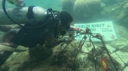 Sambut Hari Pelanggan Nasional, Cerita Perubahan dari Berbagai Daerah, Program TJSL PLN Hadirkan Manfaat bagi Masyarakat dan Lingkungan