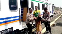 Polri Hadir, Polsek Geneng Kawal Lansia Nikmati Layanan Kesehatan Gratis Rail Clinic