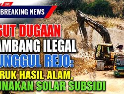 Usut Dugaan Tambang Ilegal Punggul Rejo: Keruk Hasil Alam, Gunakan Solar Subsidi