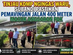Tinjau KDMP Ngingas Waru, Subandi Pastikan Pemavingan Jalan 400 Meter Masuk Anggaran PAK