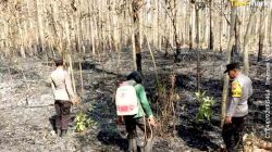 Asap Ganggu Pengguna Jalan, Polisi Ngawi dan Perhutani Gerak Cepat Padamkan Api di Hutan Kedunggalar