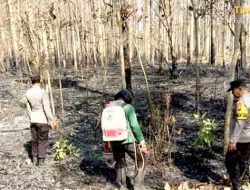 Asap Ganggu Pengguna Jalan, Polisi Ngawi dan Perhutani Gerak Cepat Padamkan Api di Hutan Kedunggalar