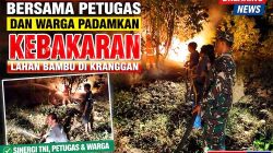 Lahan Bambu Terbakar di Ngawi, Respons Cepat Aparat dan Warga Selamatkan Lingkungan