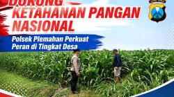 Dukung Ketahanan Pangan Nasional, Polsek Plemahan Perkuat Peran di Tingkat Desa