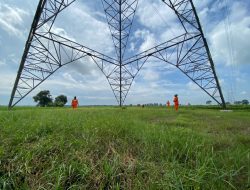Jelang Hari Kesaktian Pancasila, Electrifying Agriculture PLN Bantu Jaga Produktivitas Petani di Musim Kemarau