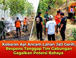 Kobaran Api Ancam Lahan Jati Gerih, Respons Tanggap Tim Gabungan Gagalkan Potensi Bahaya