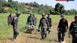 Sukses Program Ketahanan Pangan, Kodim 0910/Malinau Petik 3,5 Ton Buah Semangka Segar