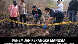 Penemuan Kerangka Manusia di Tengah Hutan Lamongan Gegerkan Warga Setempat