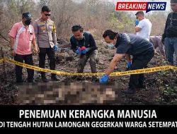 Penemuan Kerangka Manusia di Tengah Hutan Lamongan Gegerkan Warga Setempat