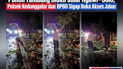 Polsek Kedunggalar dan BPBD Ngawi Gerak Cepat Evakuasi Pohon Tumbang, Arus Ngawi-Solo Kembali Lancar