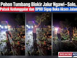 Polsek Kedunggalar dan BPBD Ngawi Gerak Cepat Evakuasi Pohon Tumbang, Arus Ngawi-Solo Kembali Lancar