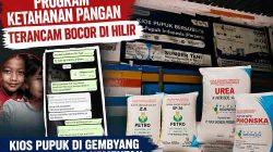 Program Ketahanan Pangan Terancam Bocor di Hilir, Kios Pupuk di Gembyang Dilaporkan ke Kementan